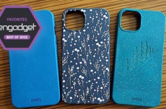 The most effective eco-friendly telephone instances for 2025