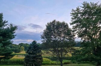 The Little Issues E-newsletter #485 – Life, laughter, and plenty of nice meals!