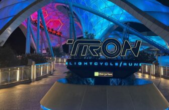 The Finest Disney Park Journey Overlays, and The place to Discover Them