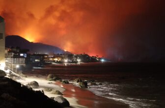 10% of Earth’s Land Is at Threat of Wildfire Catastrophe, Research Finds