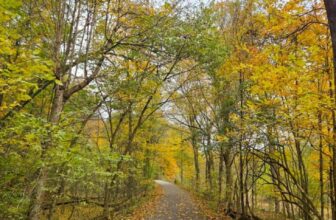 The Little Issues Publication #492 – Life, laughter, and many nice meals!