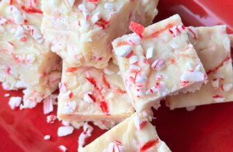 PEPPERMINT FUDGE – The Southern Woman Cooks